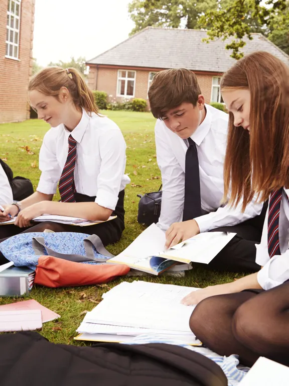 A group of students sat outside in a school field.